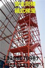 專業(yè)施工安全爬梯產品展示